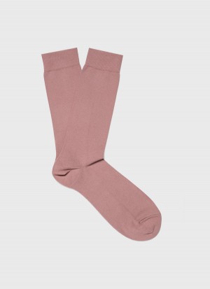 Pink Sunspel Cotton Socks | 93046-BPOG | USA