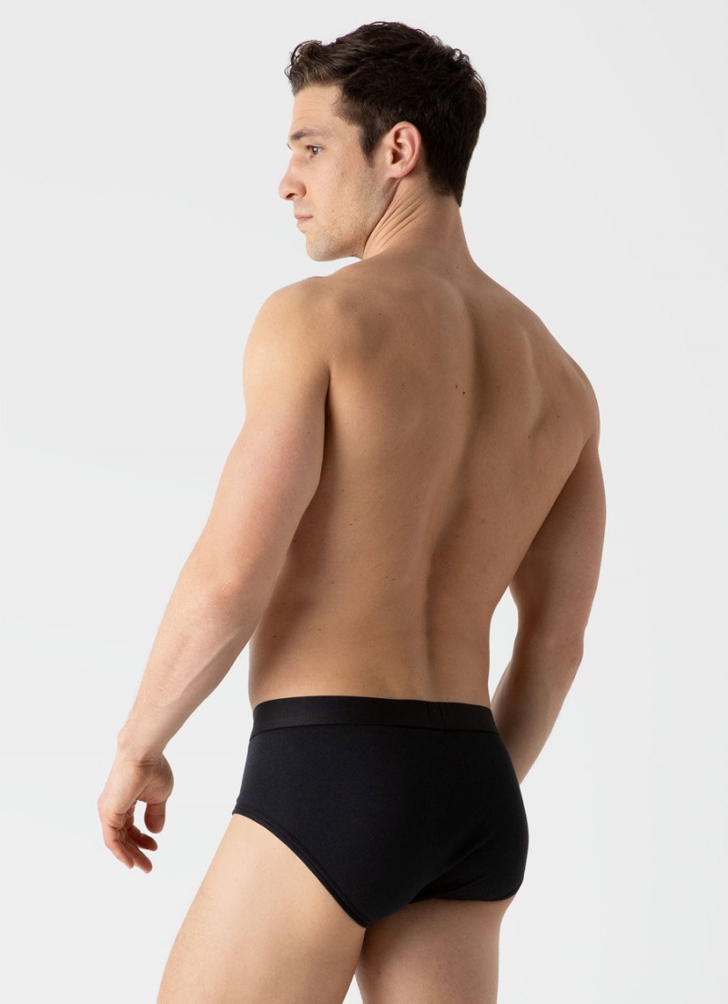 Black Sunspel Sea Island Cotton Briefs | 35286-WRDC | USA