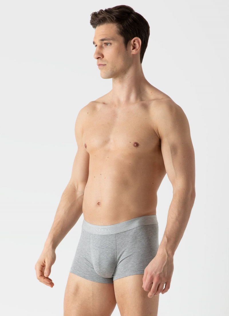 Grey Sunspel Stretch Cotton Trunks | 29705-ESWM | USA