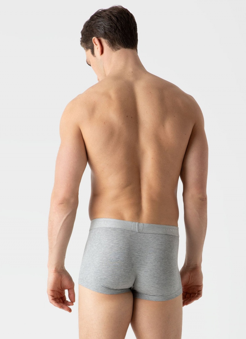 Grey Sunspel Stretch Cotton Trunks | 29705-ESWM | USA